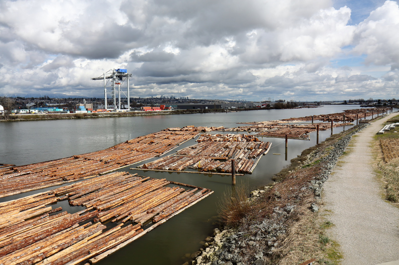 Illustration for article titled Pics from the Curbside: 2018-03-25 to St. Edwards Crossing
